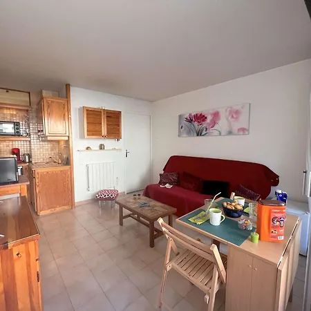 Studio Cabine 4 Pers, Terrasse, Garage, Proche Port Et Commerces - Fr-1-226a-171 Appartement